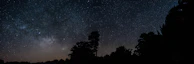 A panoramic view of a dark sky reserve with silhouettes of trees against the stars.