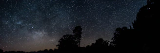 A panoramic view of a dark sky reserve with silhouettes of trees against the stars.