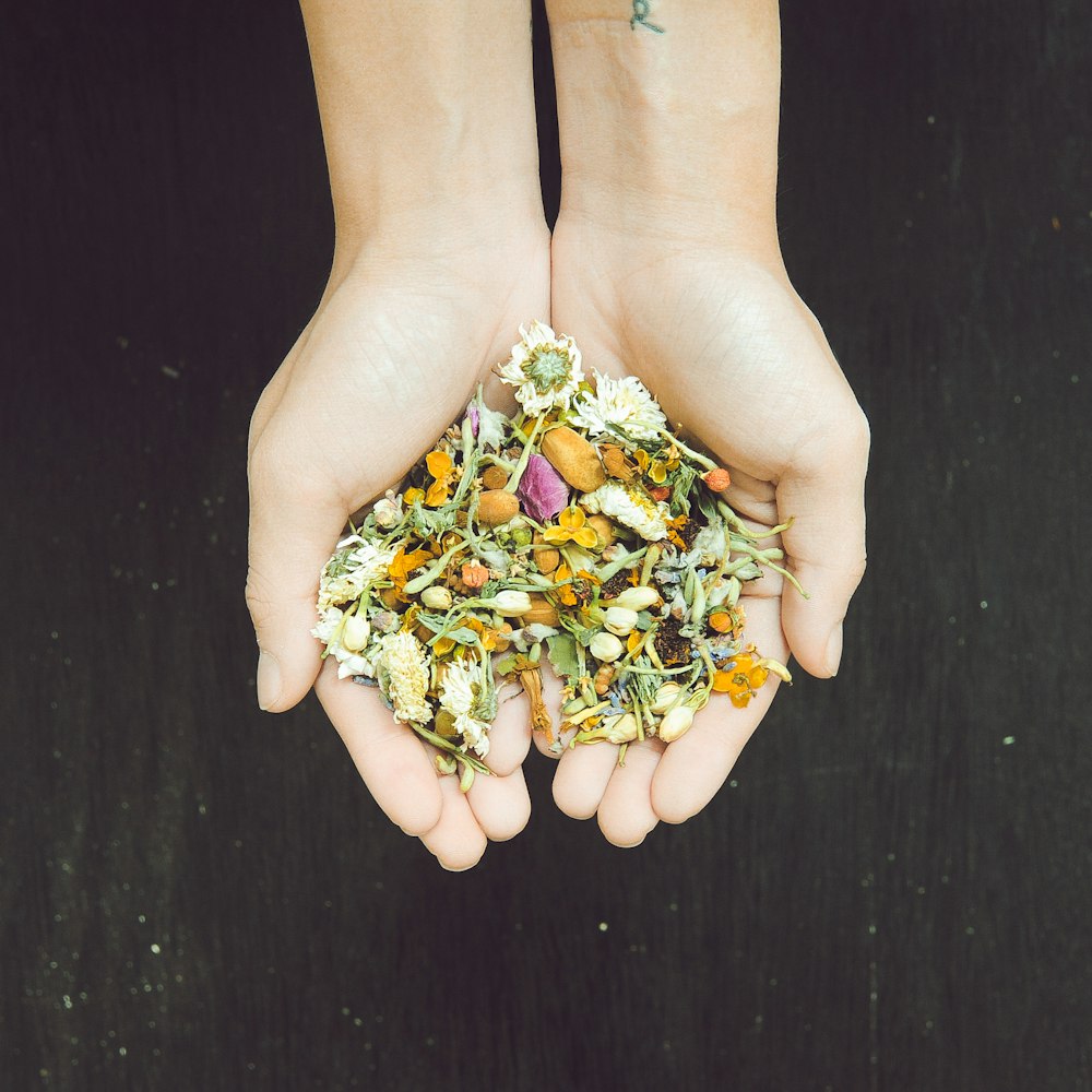 person holding green and brown flower