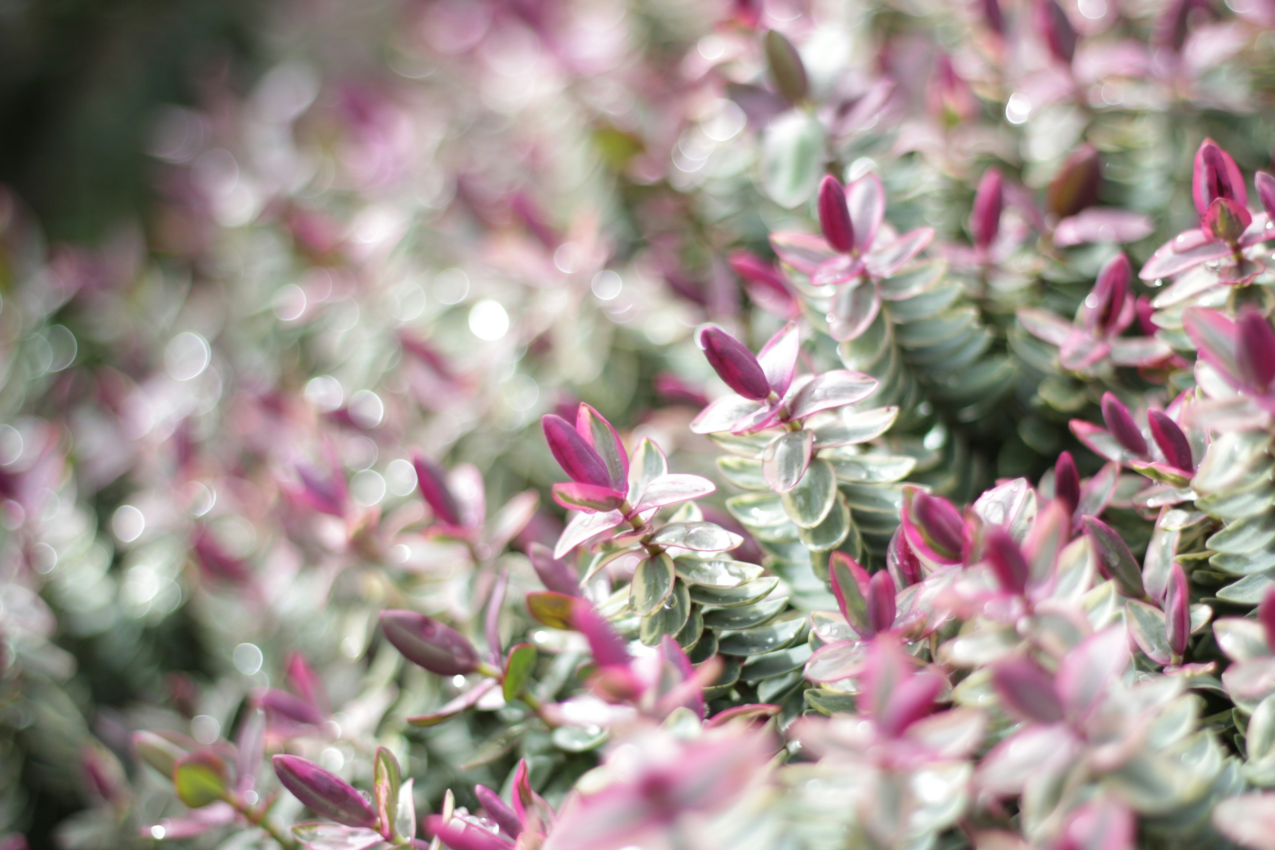 Free Unsplash photo from Maria Delgado Prieto