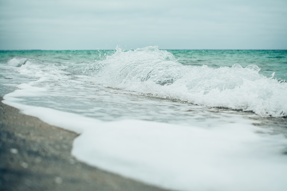 seashore and water waves