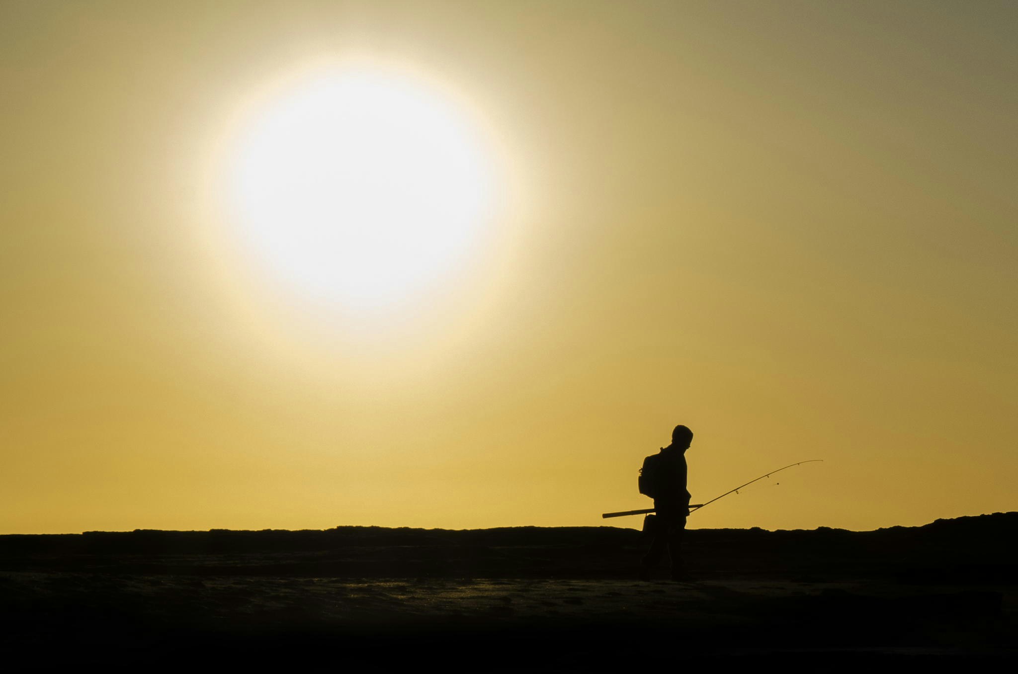 Free Unsplash photo from Brian Mann