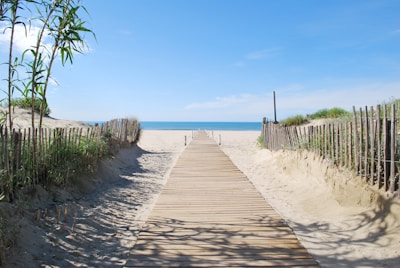 A wooden pathway leading through dunes to a quiet sandy beach at sunrise