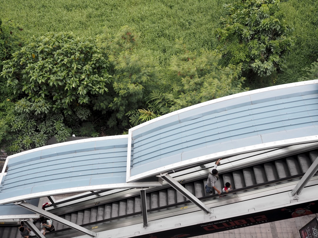 group of people standing on gray escalator surrounded by green leafed trees during daytime