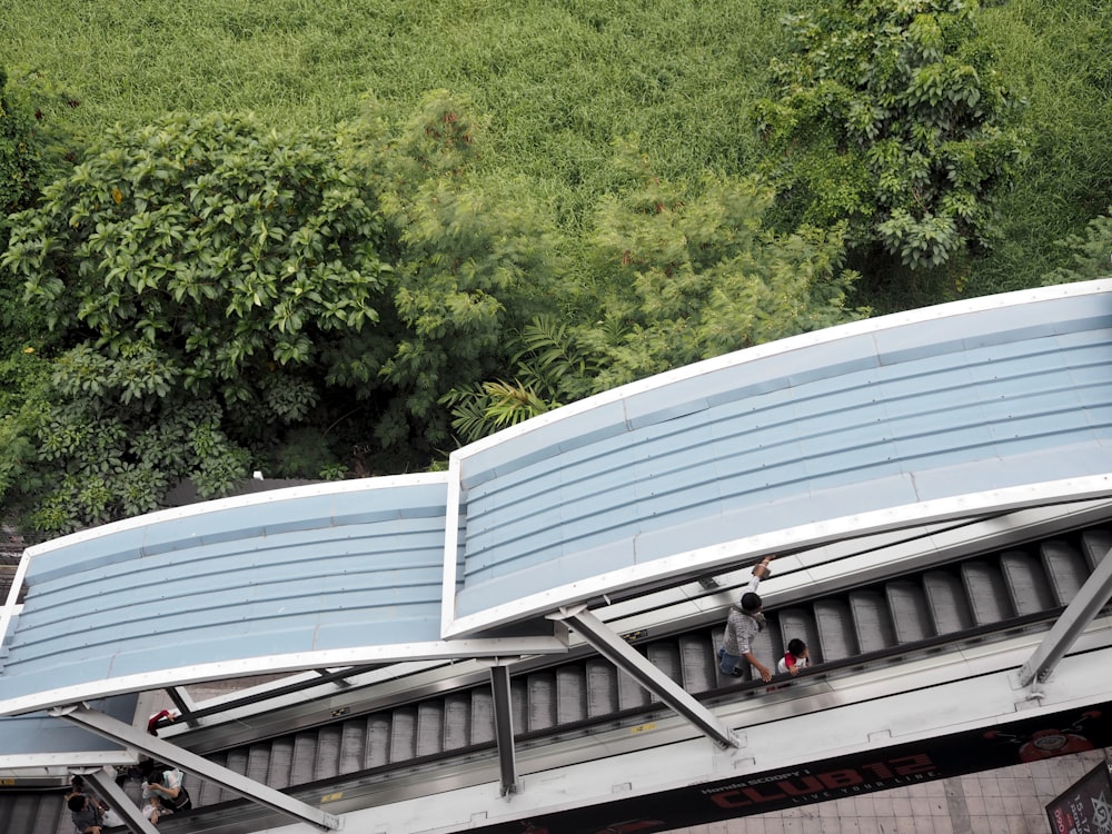 Groupe de personnes debout sur un escalator gris entouré d’arbres à feuilles vertes pendant la journée