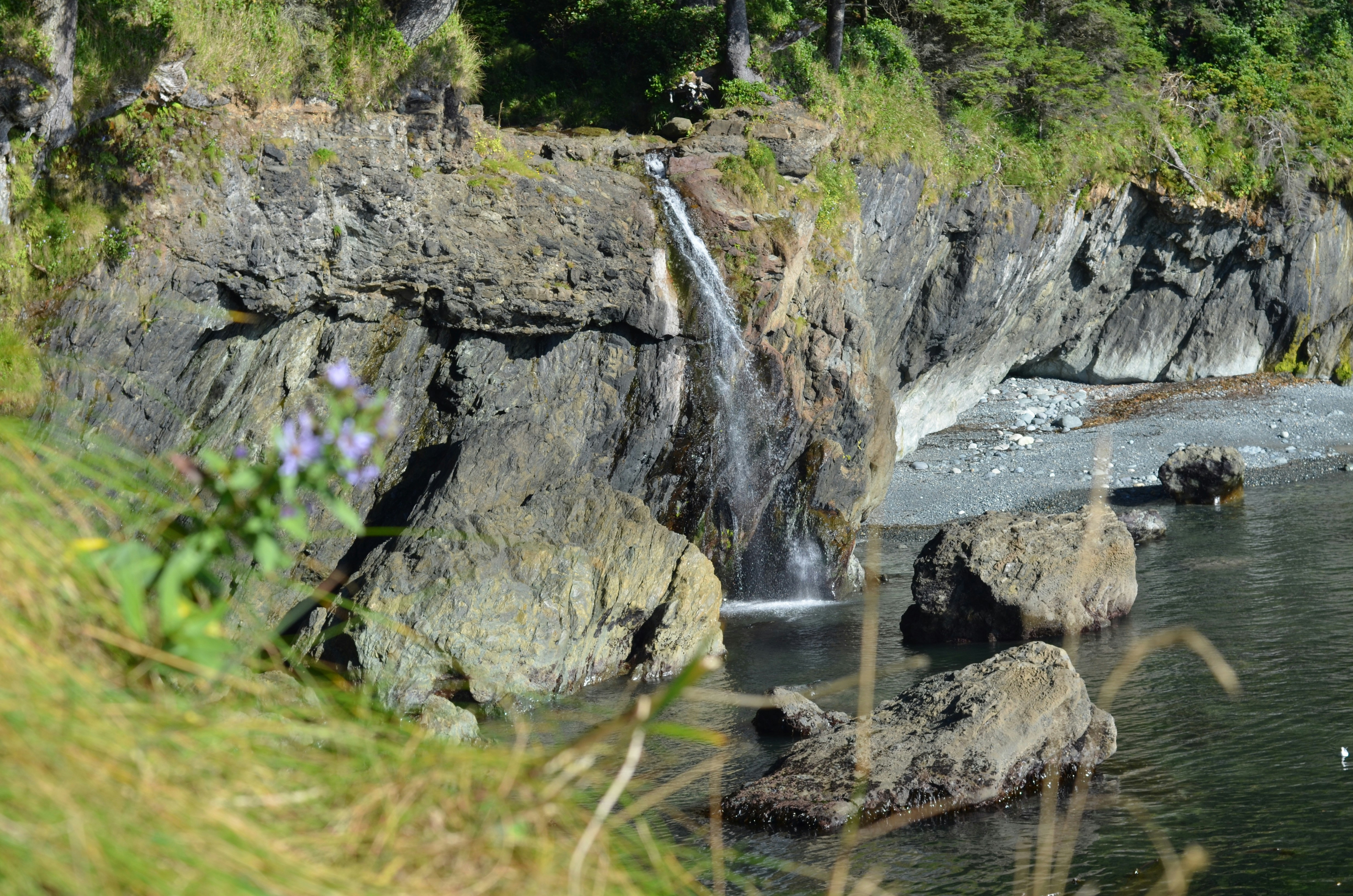 Free Unsplash photo from Logan Popoff