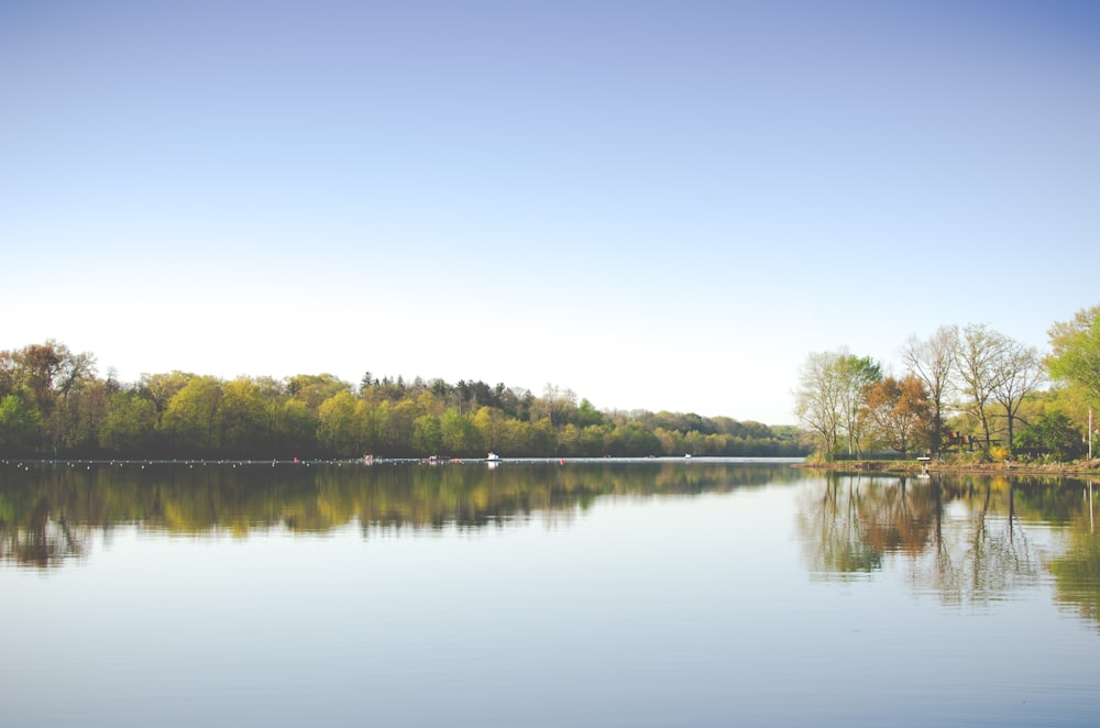 lake and trees during day