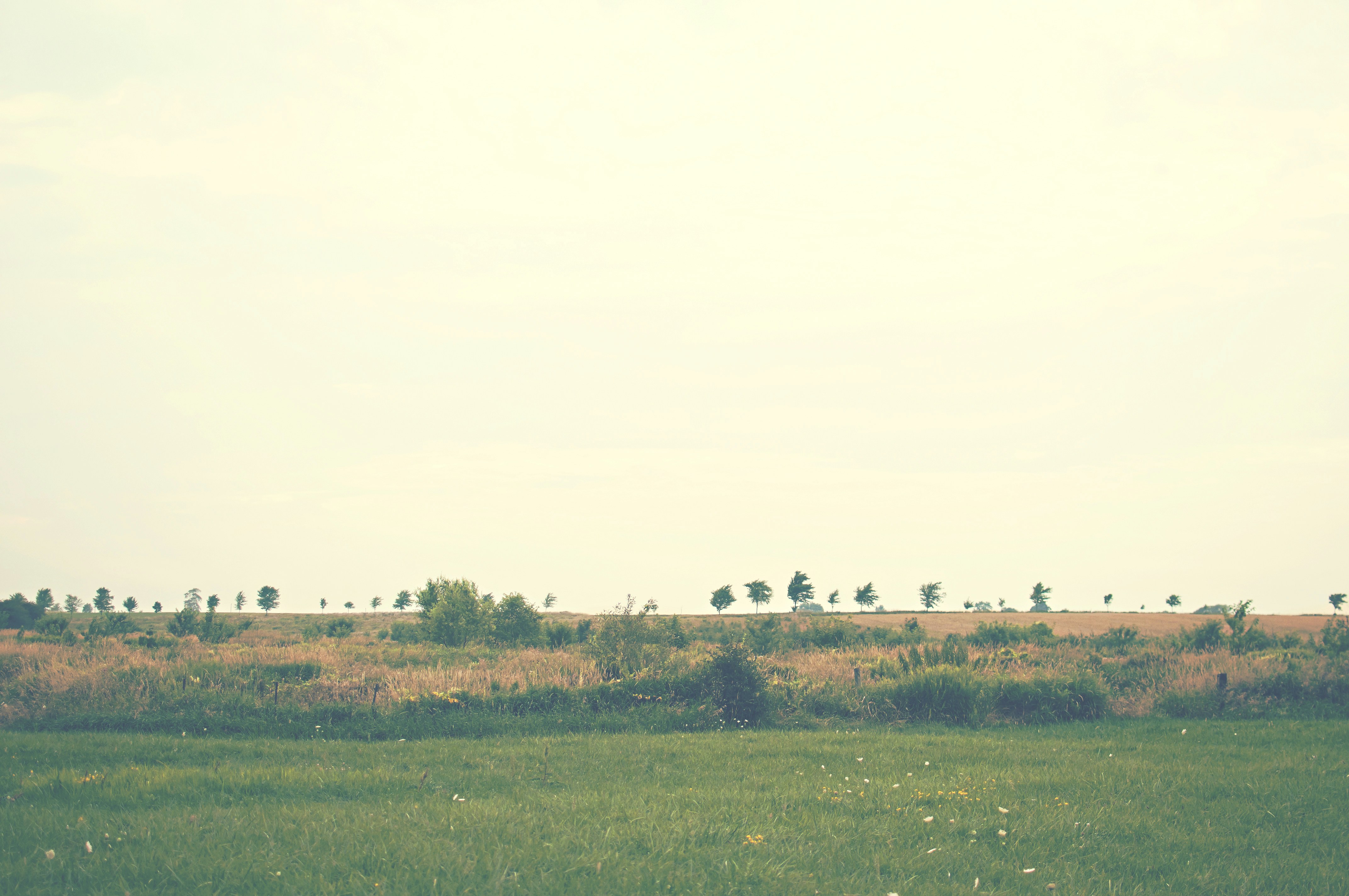 NYT destination photo