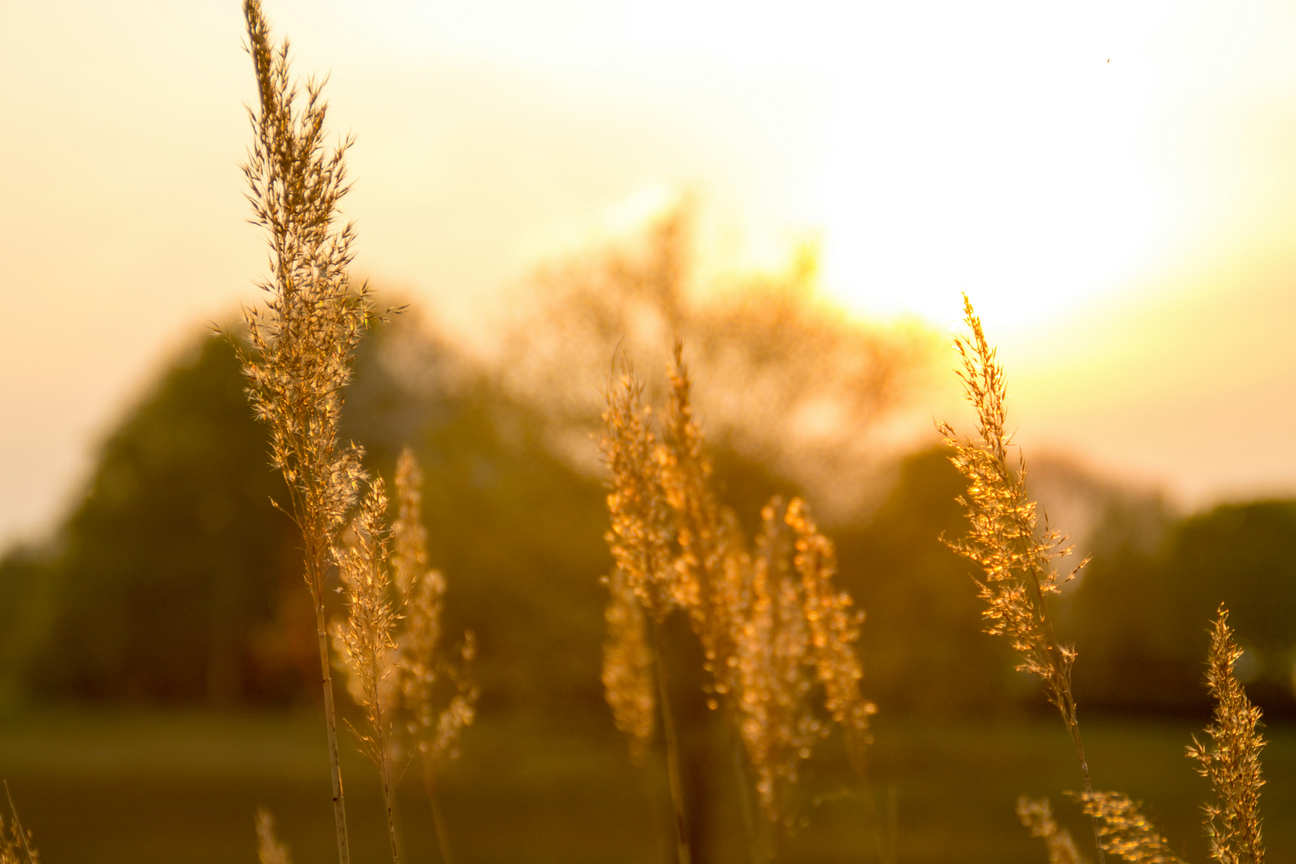 Free Unsplash photo from Mathijs Vos