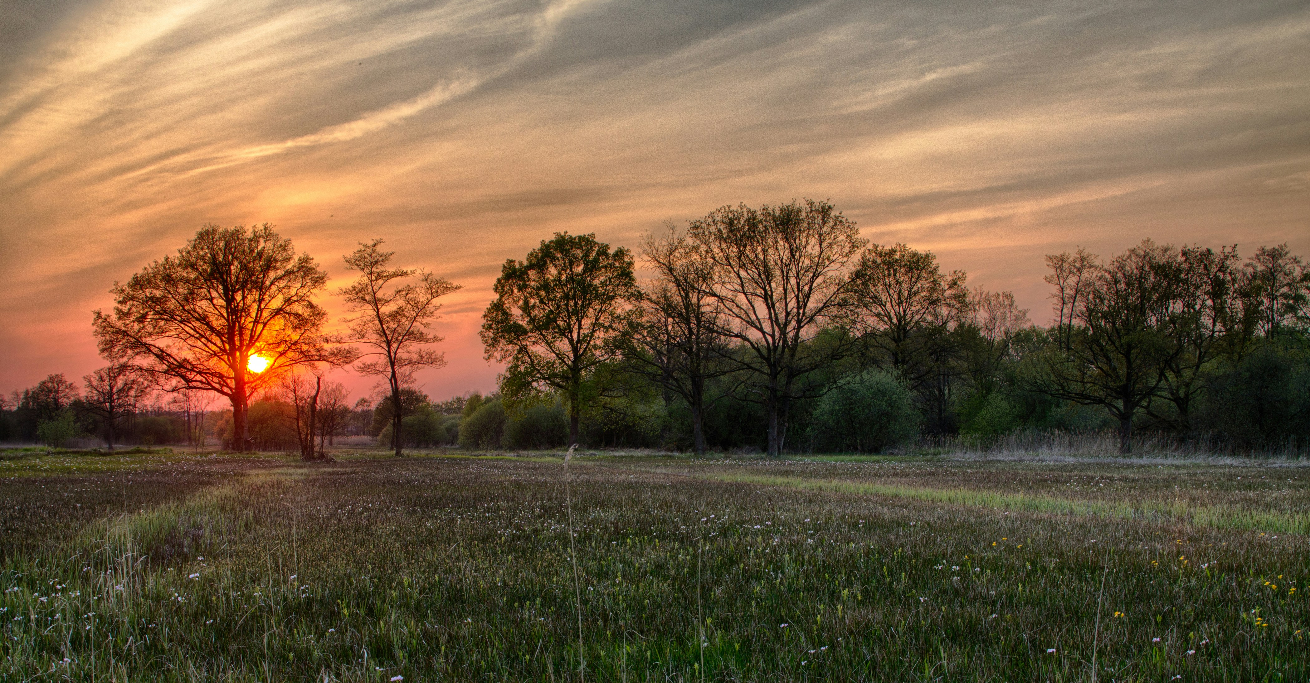 Free Unsplash photo from Mathijs Vos