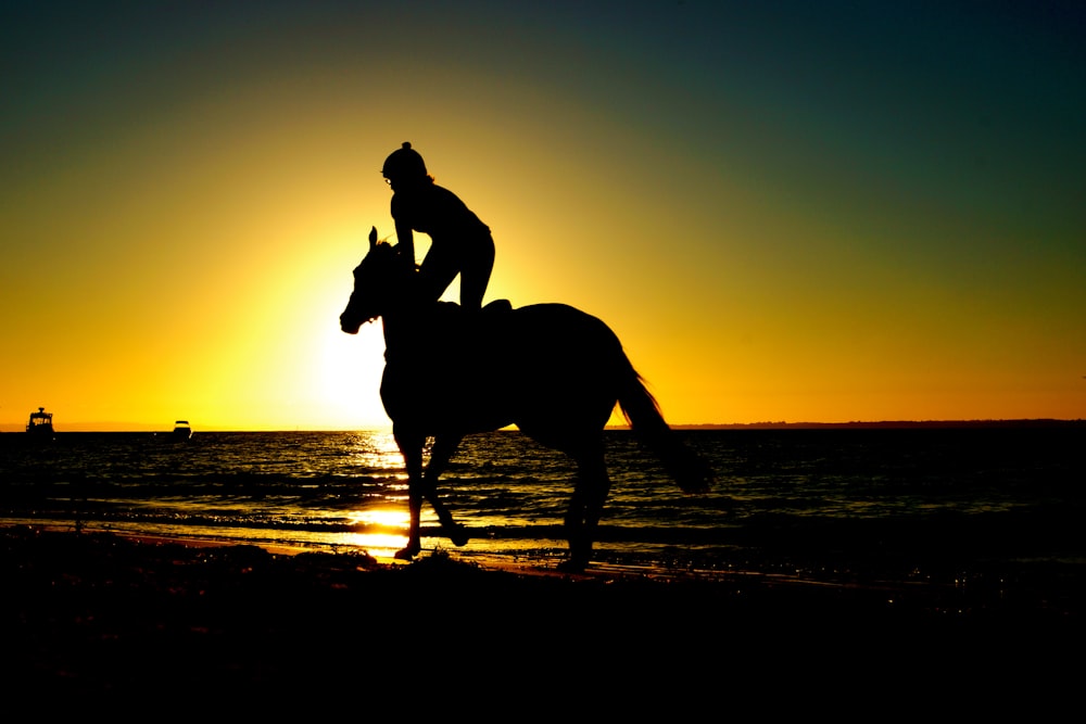 silhueta da mulher ajoelhada no cavalo ao lado do corpo de água durante o pôr do sol