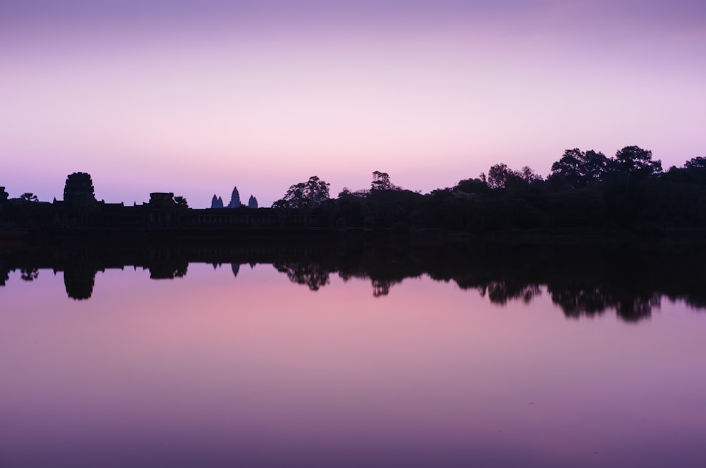 trees reflecting in body of water