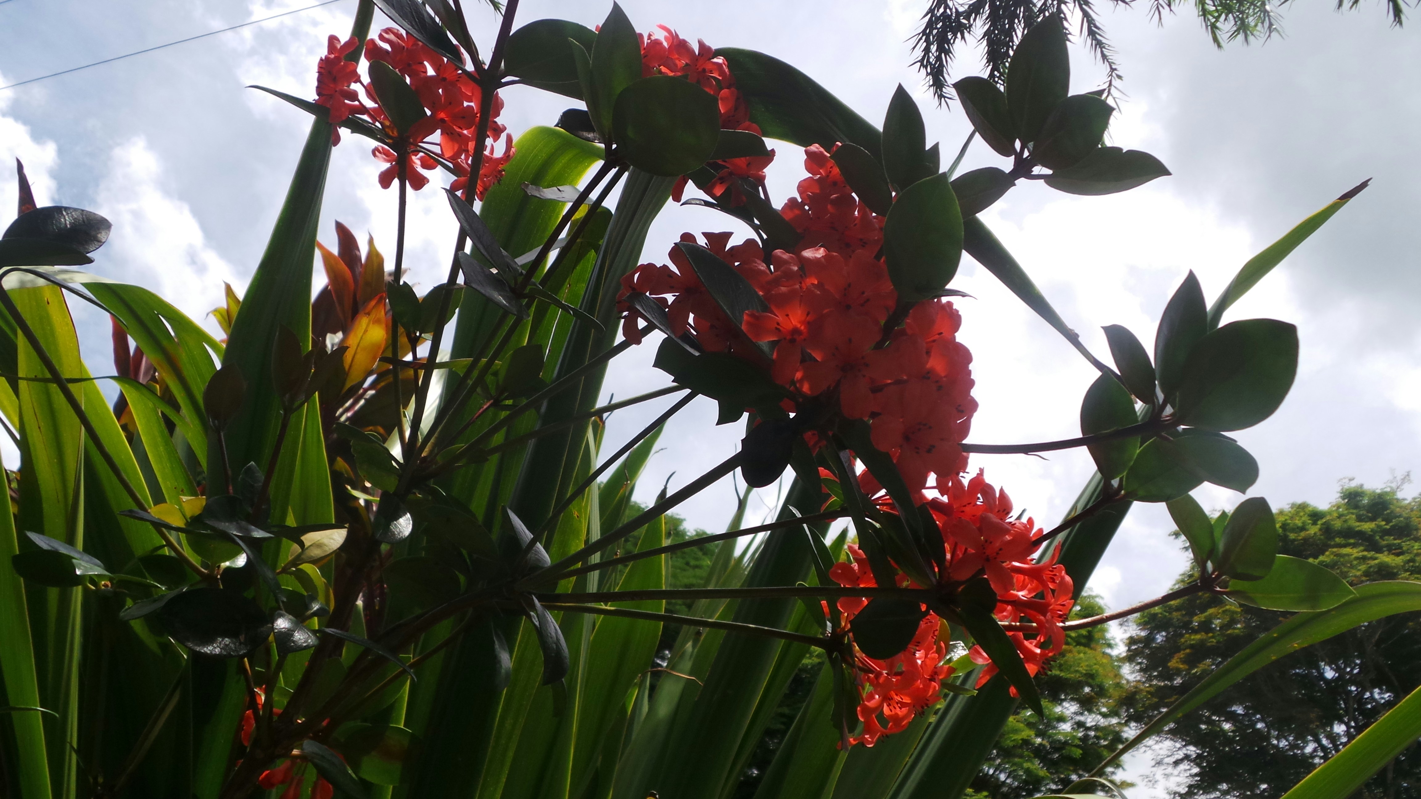 Free Unsplash photo from Shea O'Keeffe