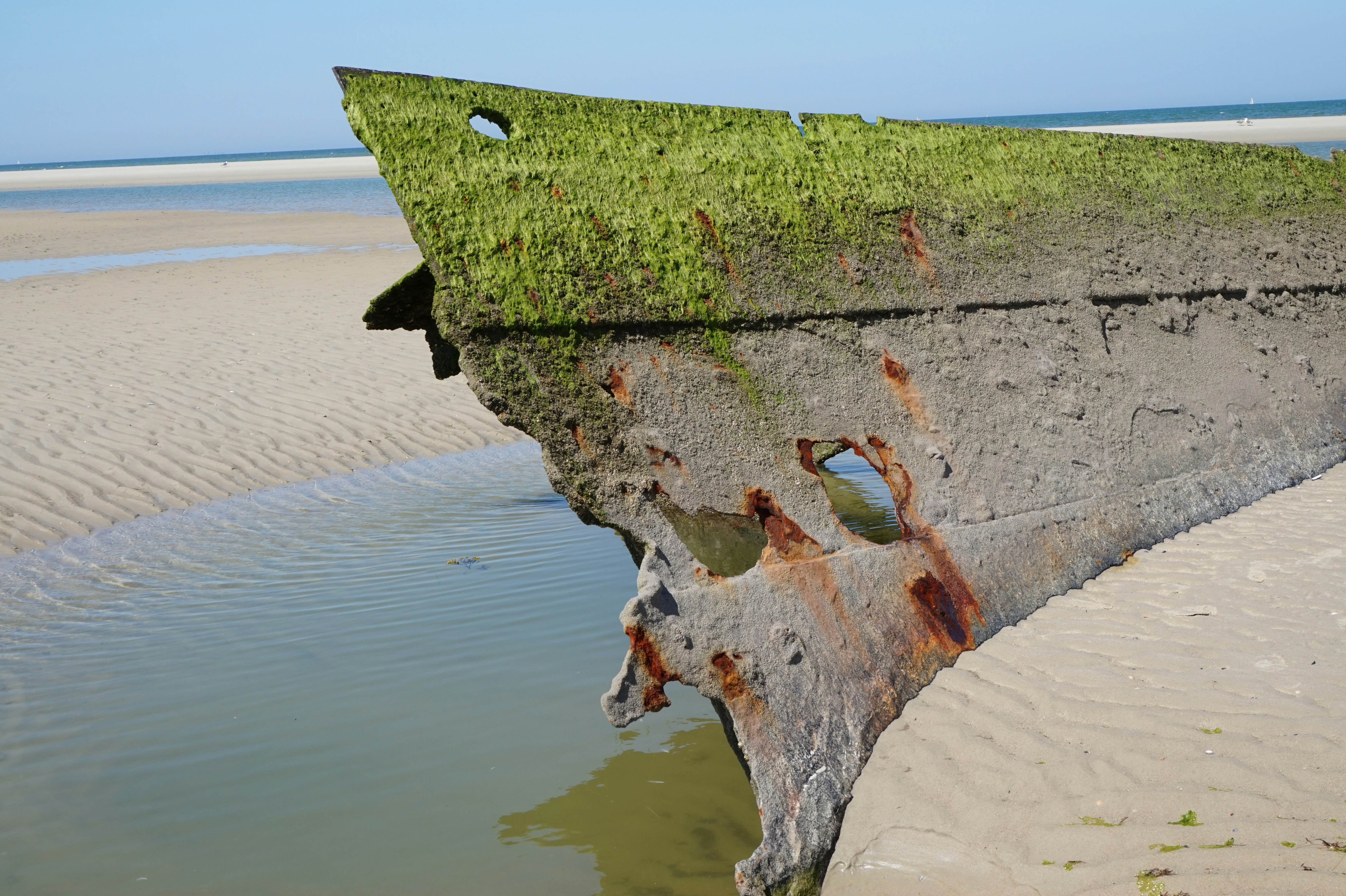 Free Unsplash photo from David Schiffer