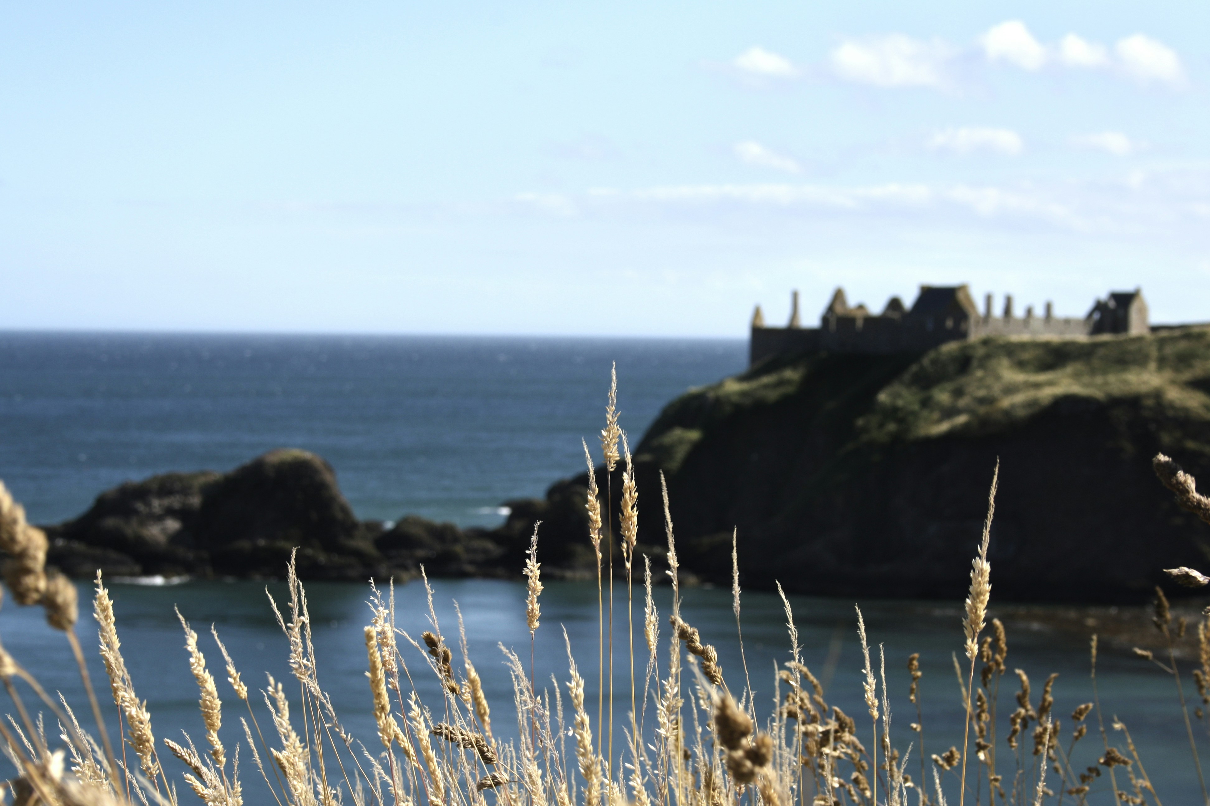 Free Unsplash photo from Alberto ML