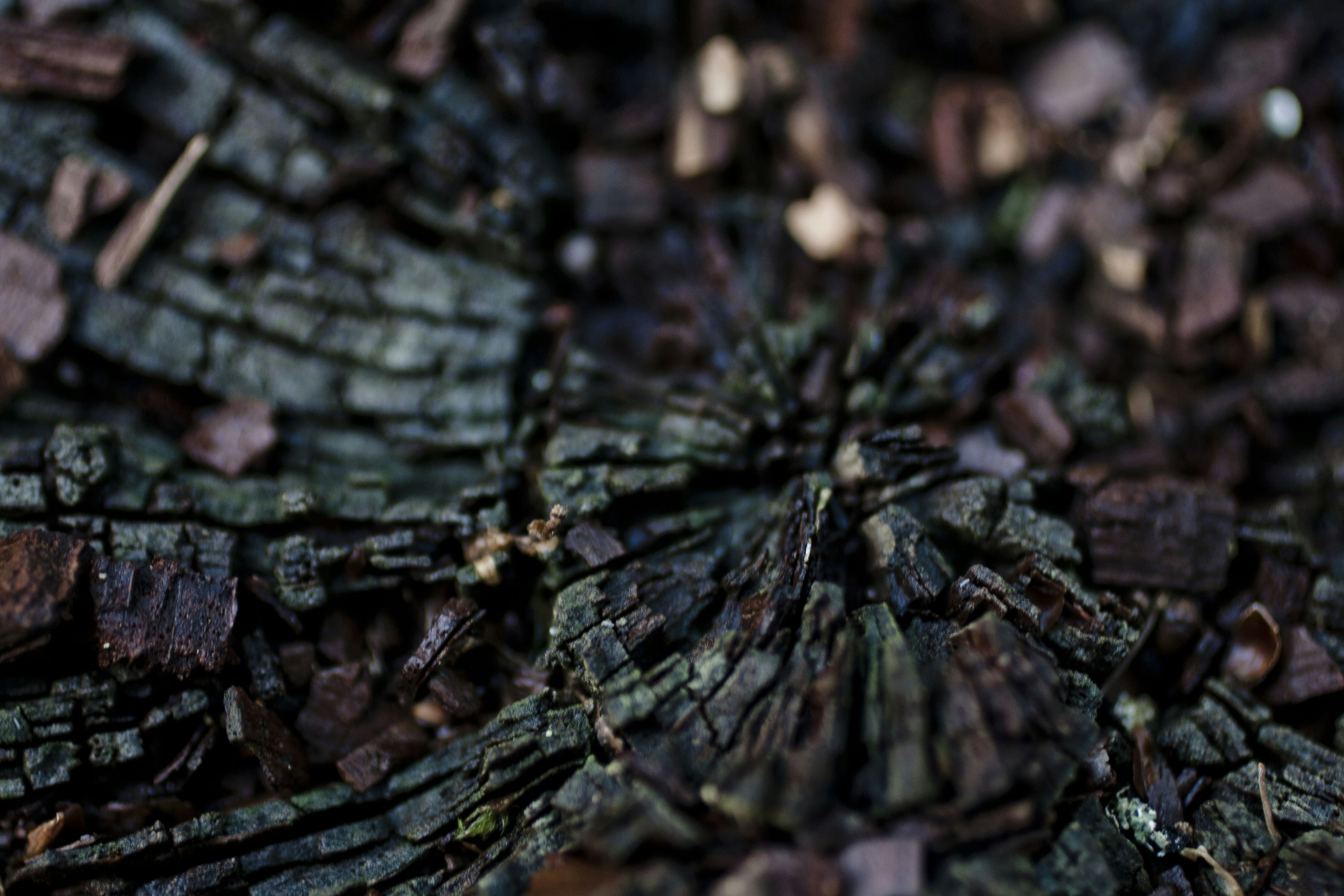 Free Unsplash photo from Manuel Barroso Parejo