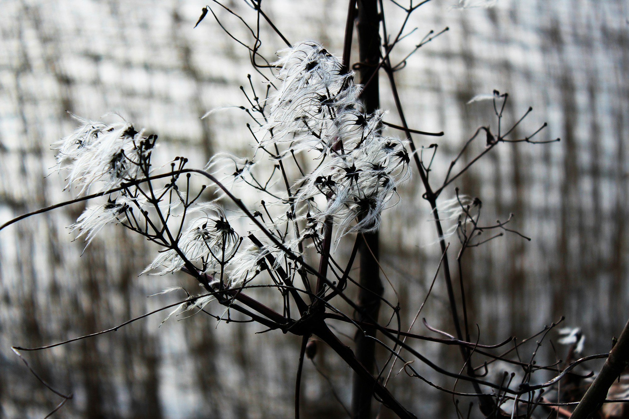 Free Unsplash photo from Maria Jacobsen