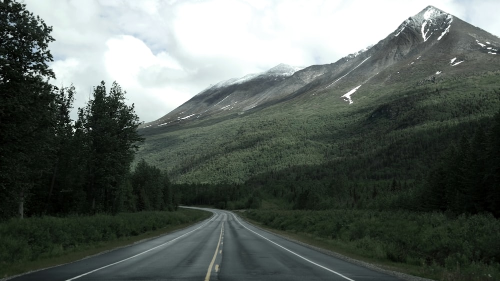 gray asphalt road in between green trees