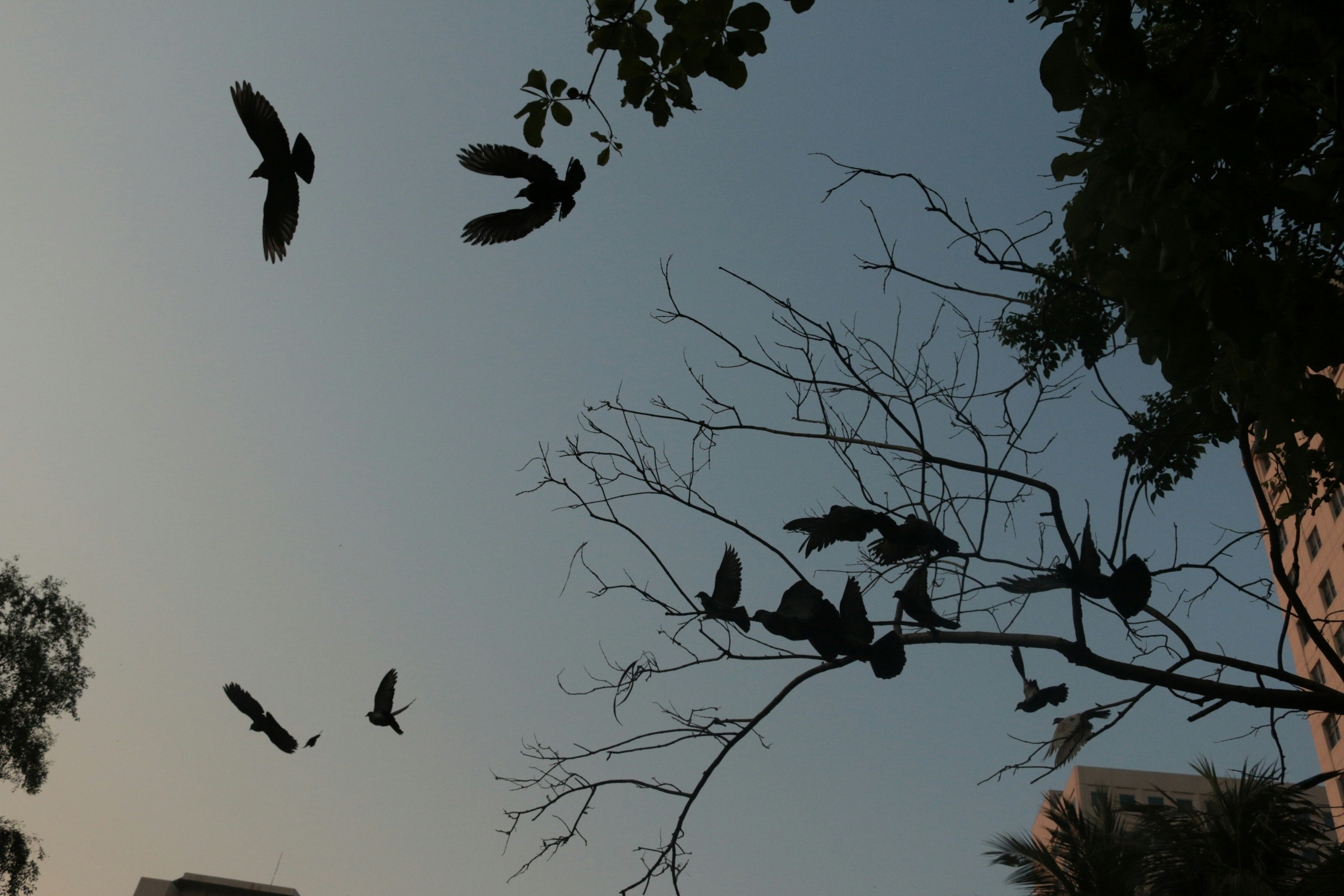 Free Unsplash photo from sycleh angelo