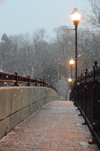 photo of turned on street lights near railing