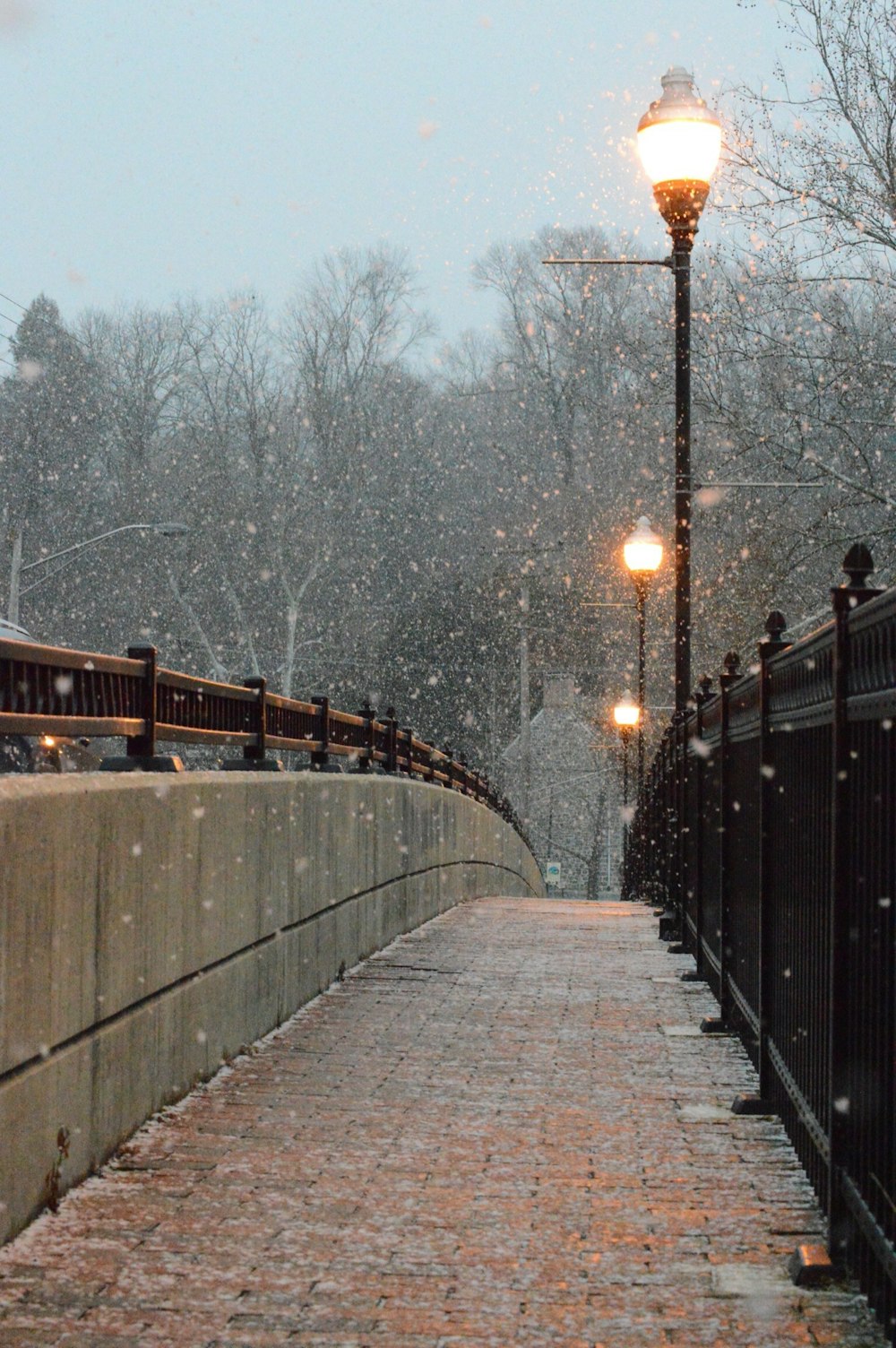 photo of turned on street lights near railing