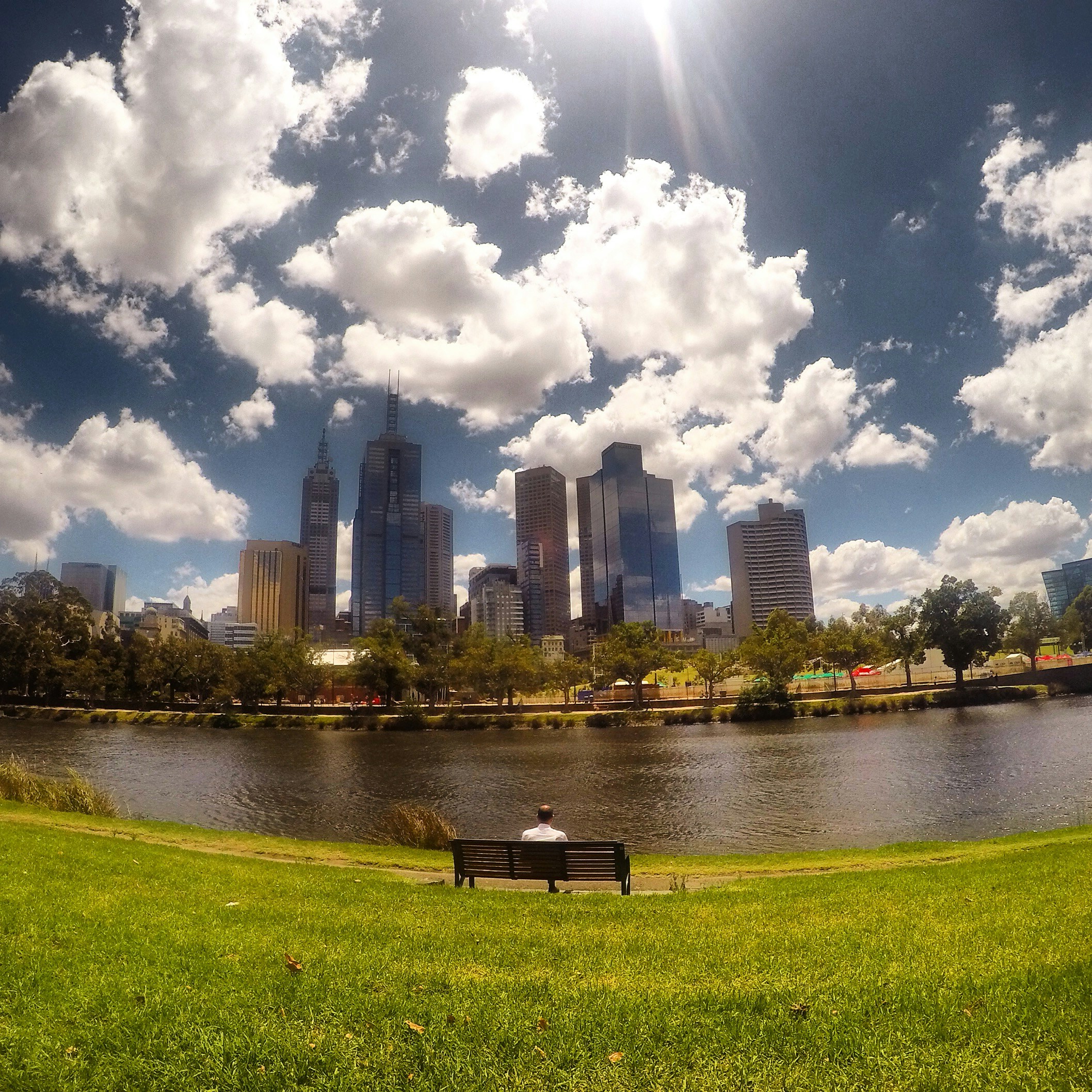 Free Unsplash photo from Yvonne Cahill