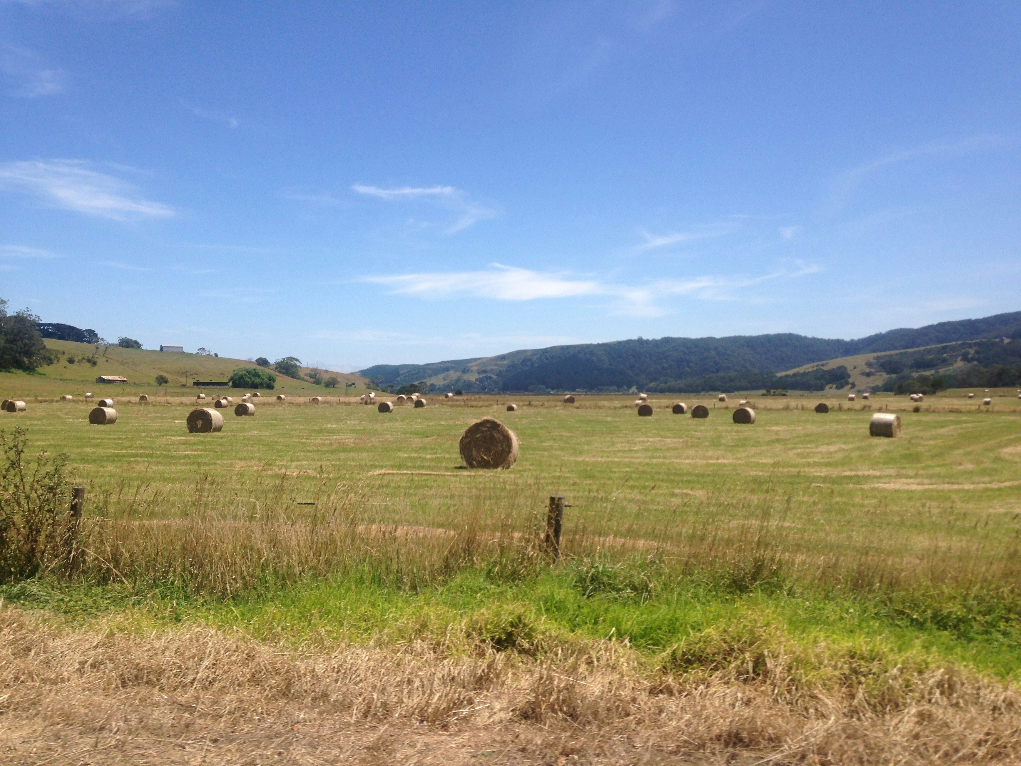 Free Unsplash photo from Yvonne Cahill