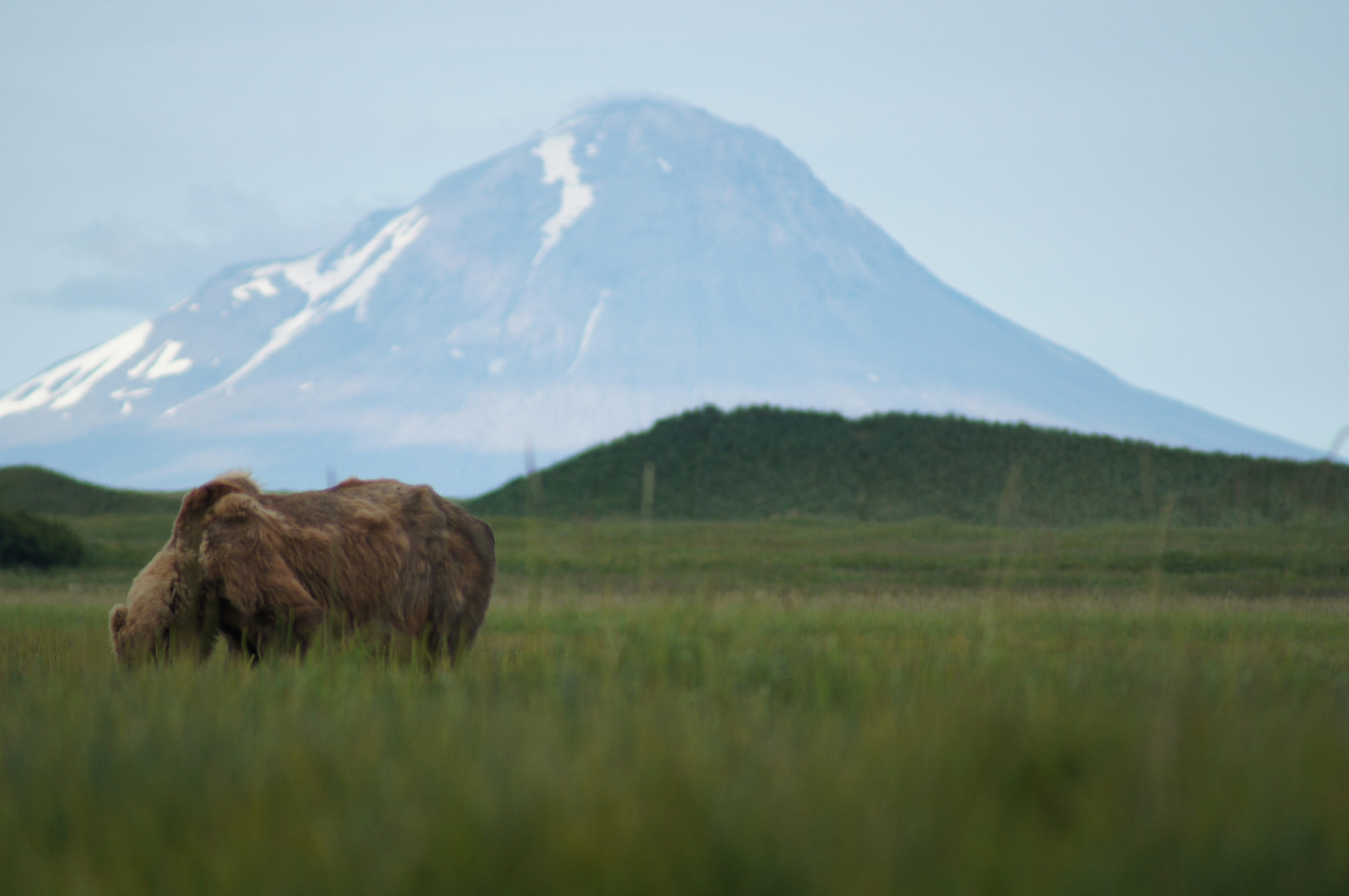 Free Unsplash photo from Kyle Hattan