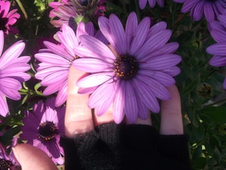 Close-up of durable garden gloves resting on a bed of vibrant flowers.