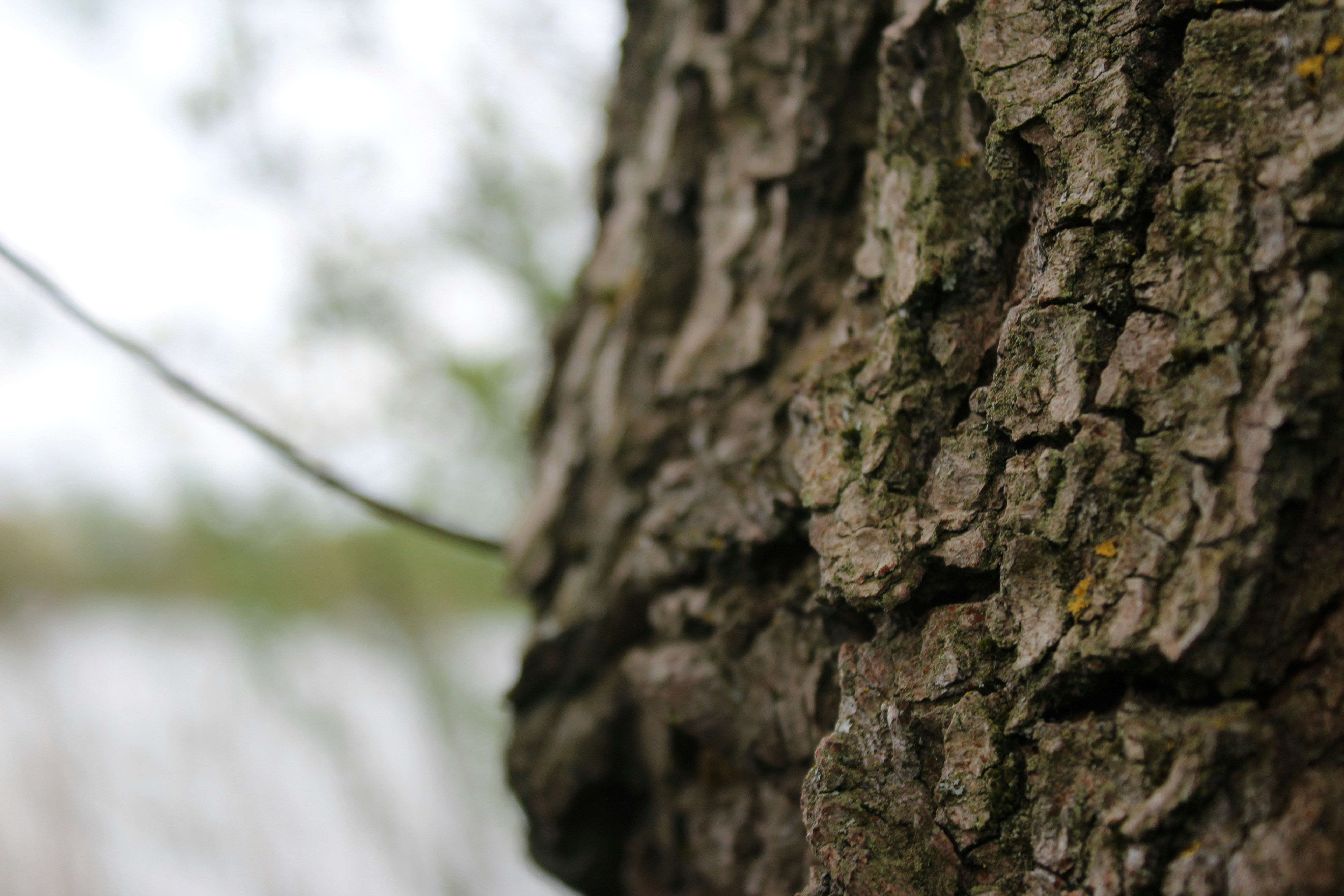 Free Unsplash photo from Christopher Young