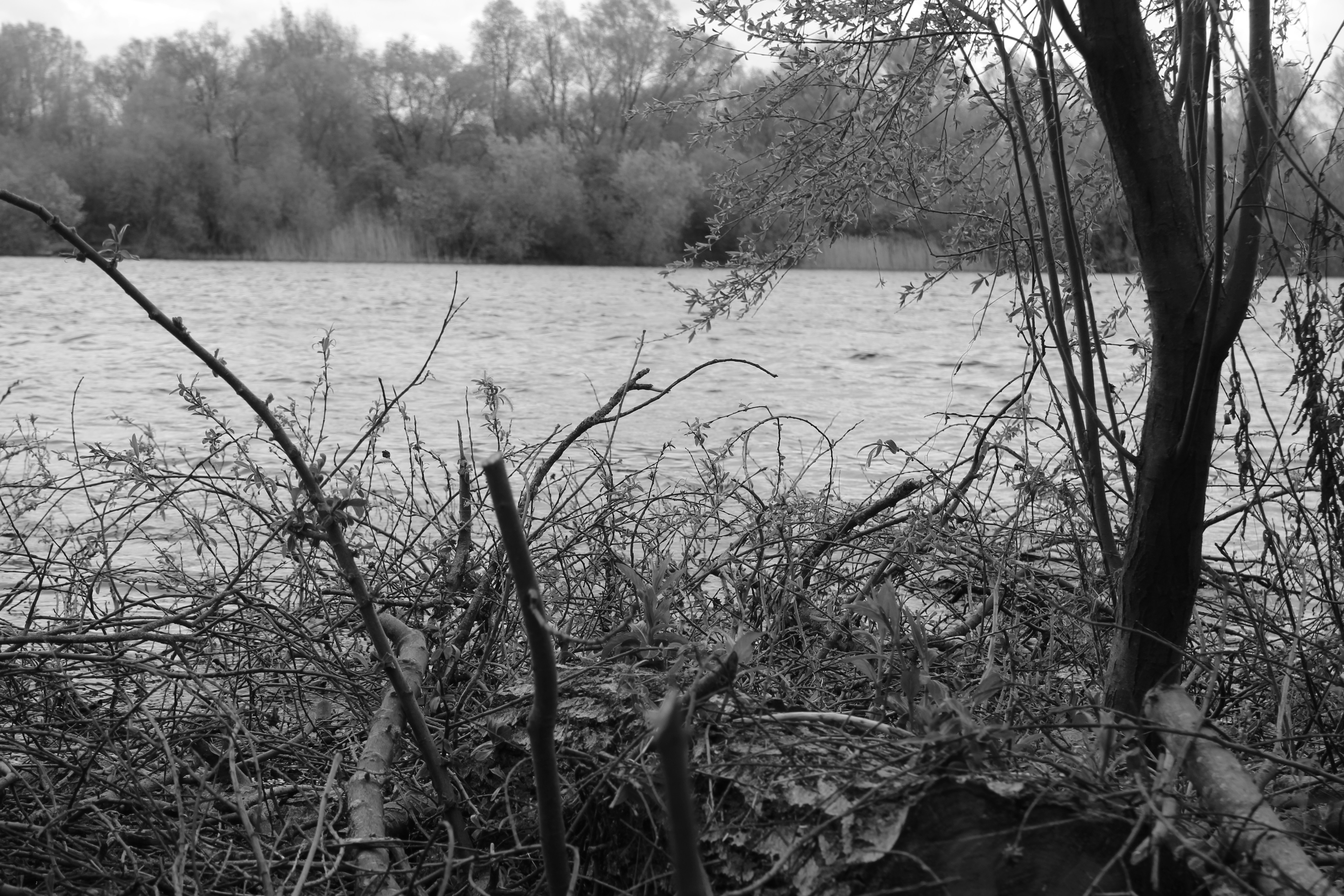 Free Unsplash photo from Christopher Young