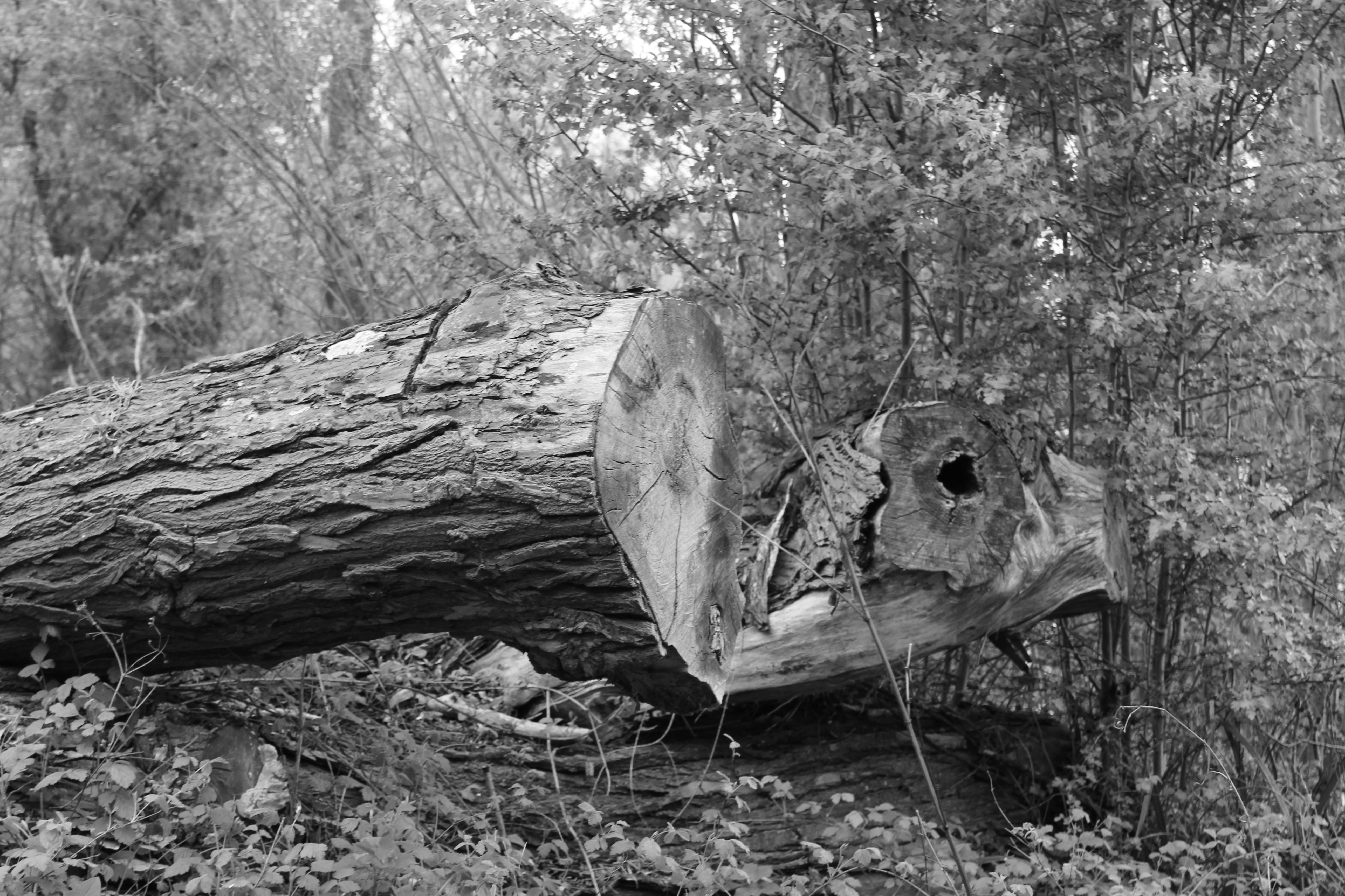 Free Unsplash photo from Christopher Young