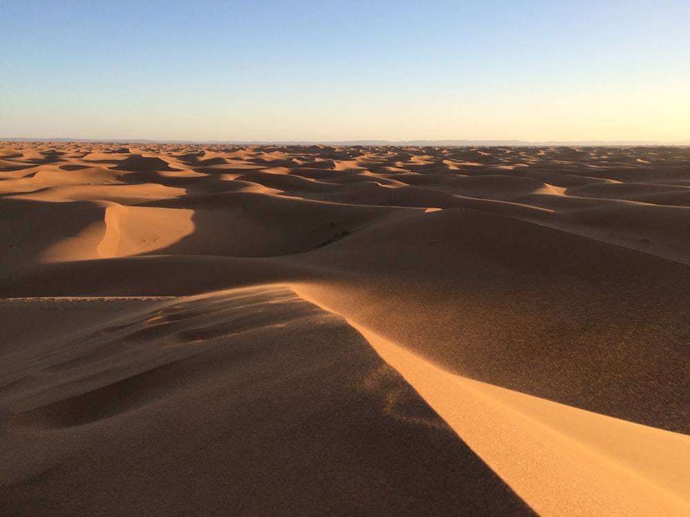 昼間の砂漠