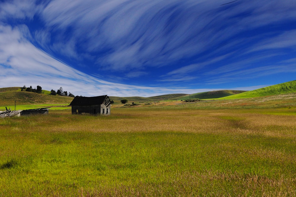 house on green grass field