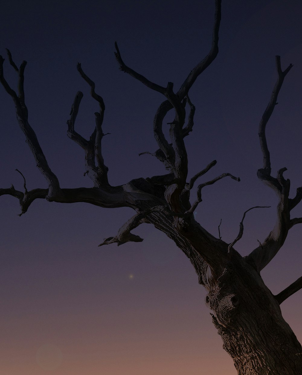 Árbol desnudo marrón