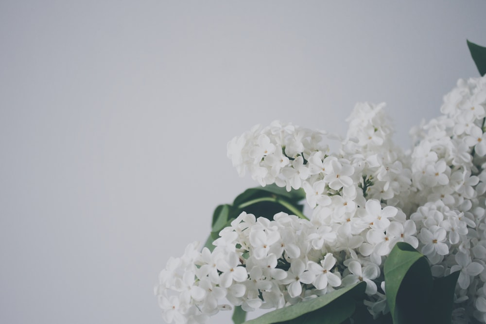 white flowers