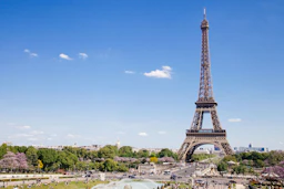 Paris & Amsterdam