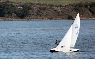 A lone sailor navigates a small sailboat on a calm body of water with a rocky and grassy shoreline in the background.