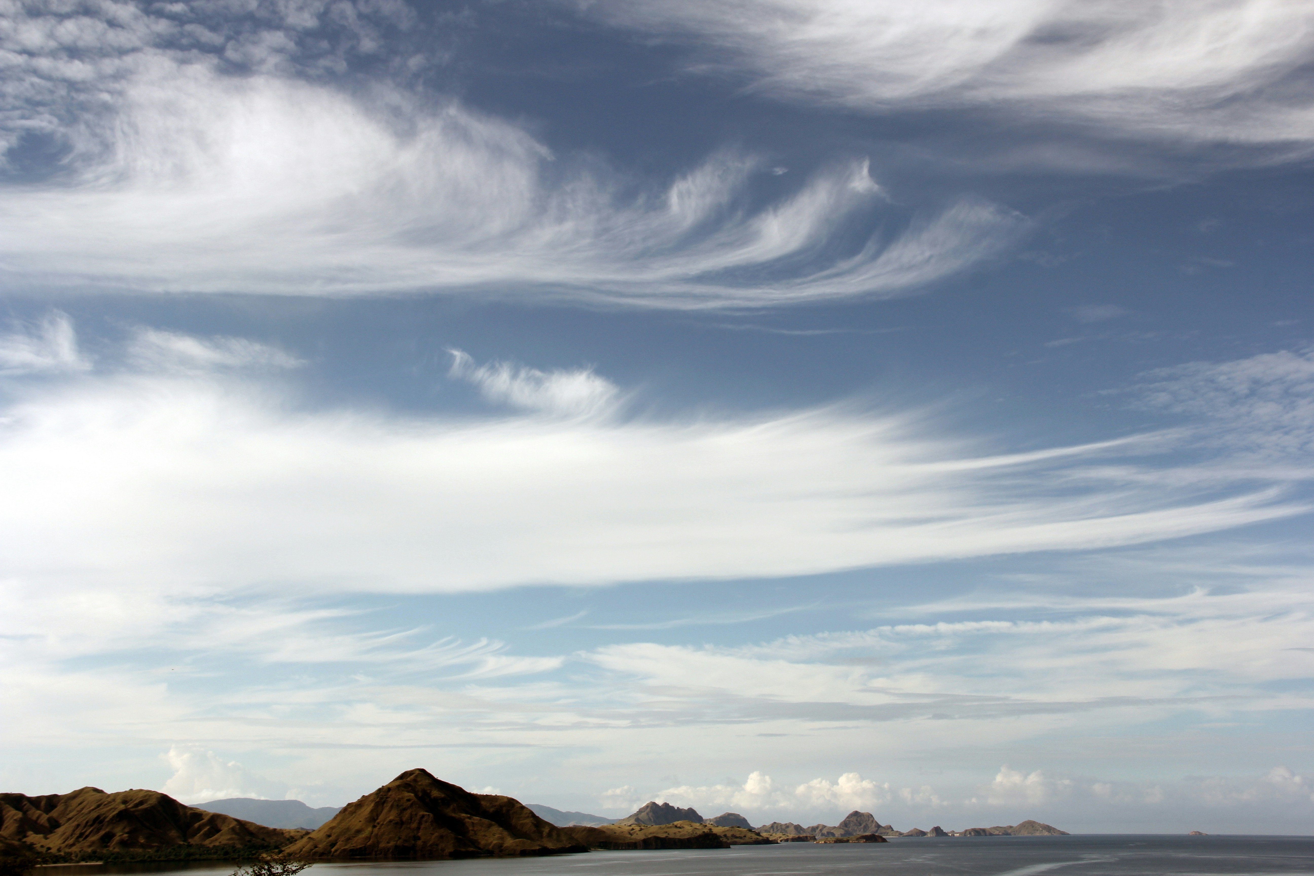 Free Unsplash photo from Morgan Gil