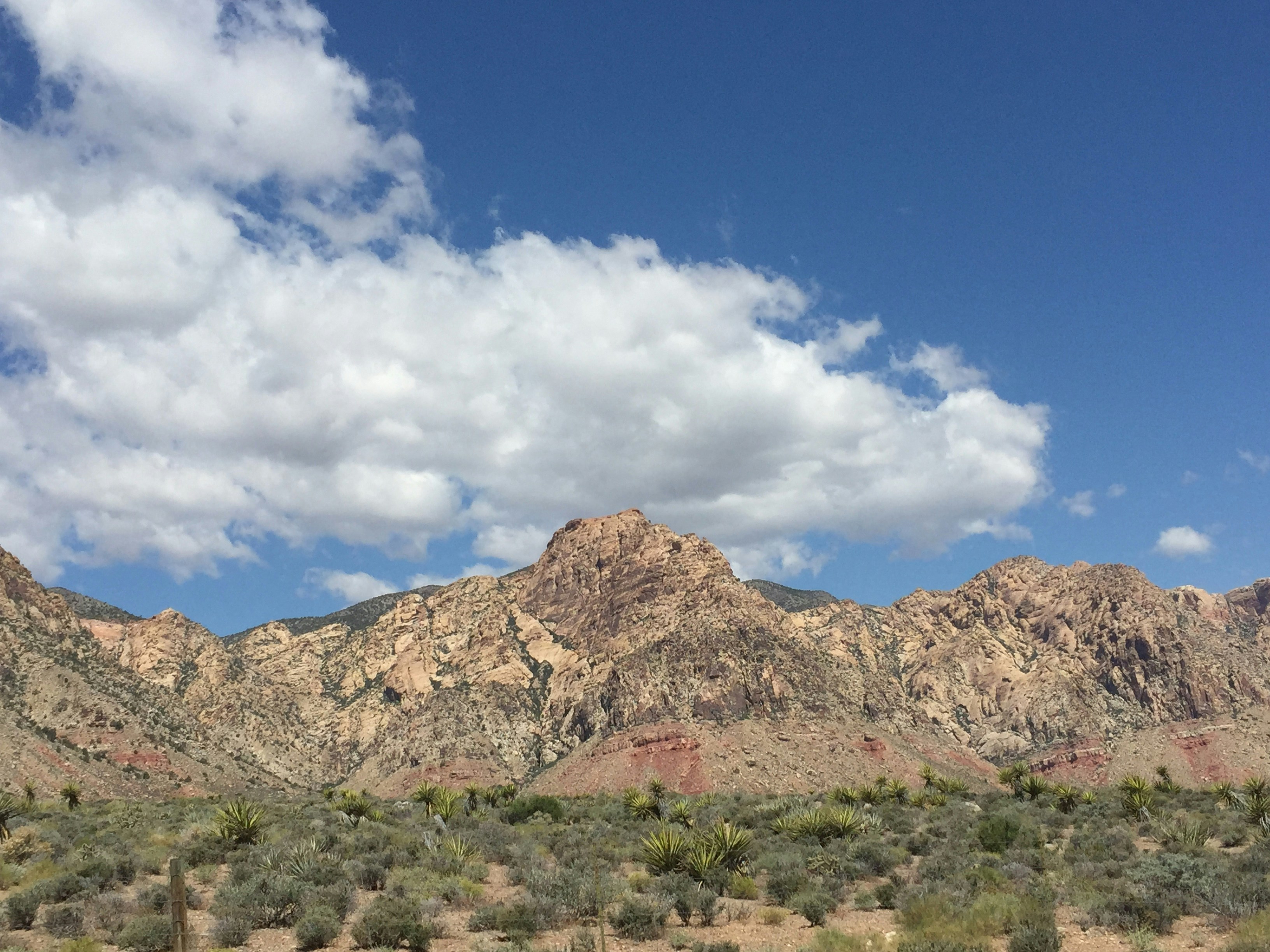 Free Unsplash photo from Maribel Vega