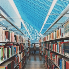 A modern library interior featuring long aisles lined with bookshelves filled with various colorful books. The scene is framed by a high, geometric ceiling with a striking blue pattern. In the center of the aisle, a person is taking a photograph, adding a touch of dynamic presence to the serene environment.