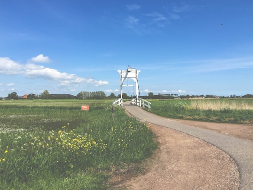 A rural landscape with a dirt path leading to a small white wooden bridge, surrounded by lush green fields and yellow wildflowers under a blue sky with scattered clouds.