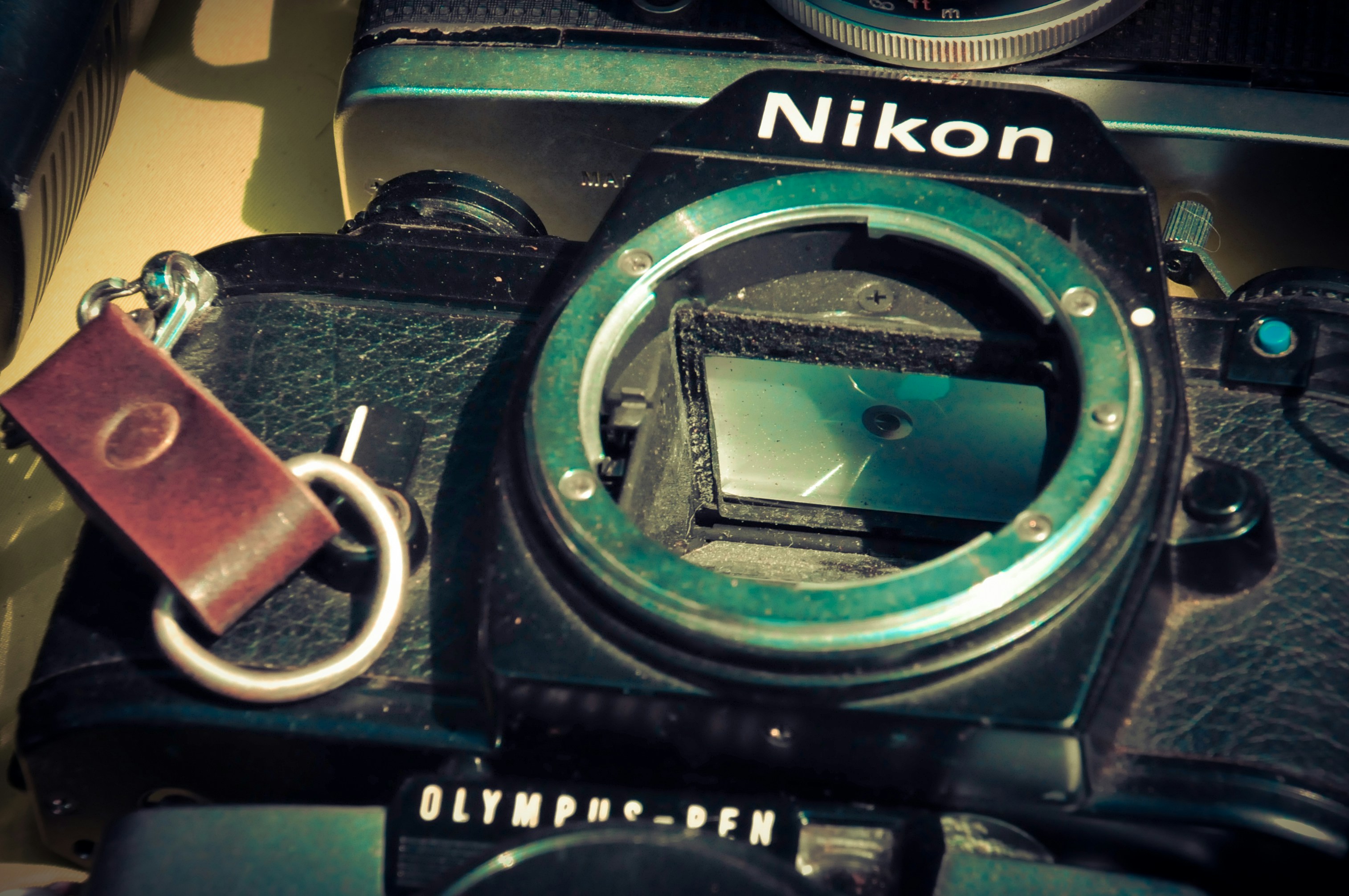 Free Unsplash photo from Sandro Valvezan