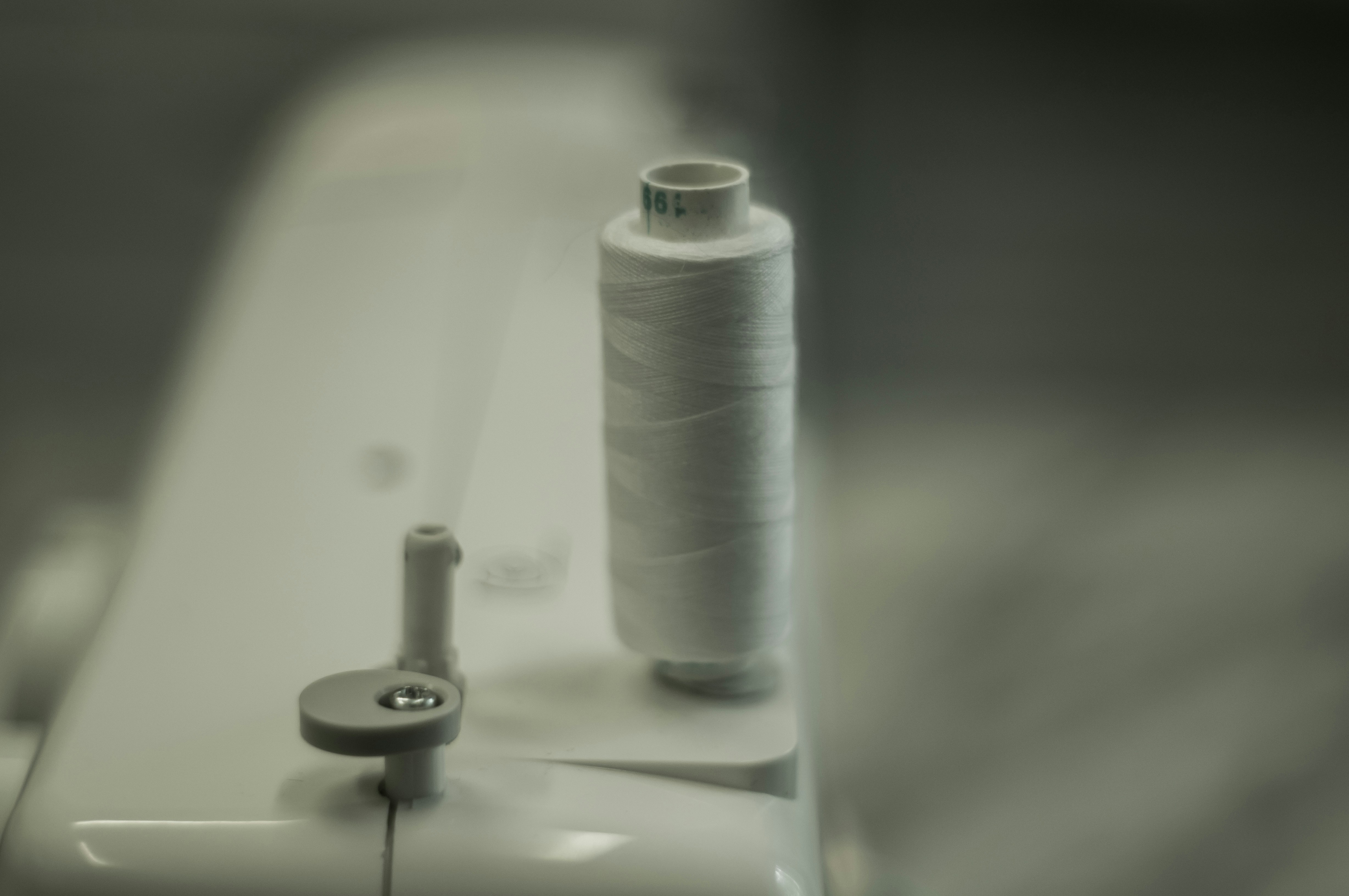 Free Unsplash photo from Elena Ilyinskaya