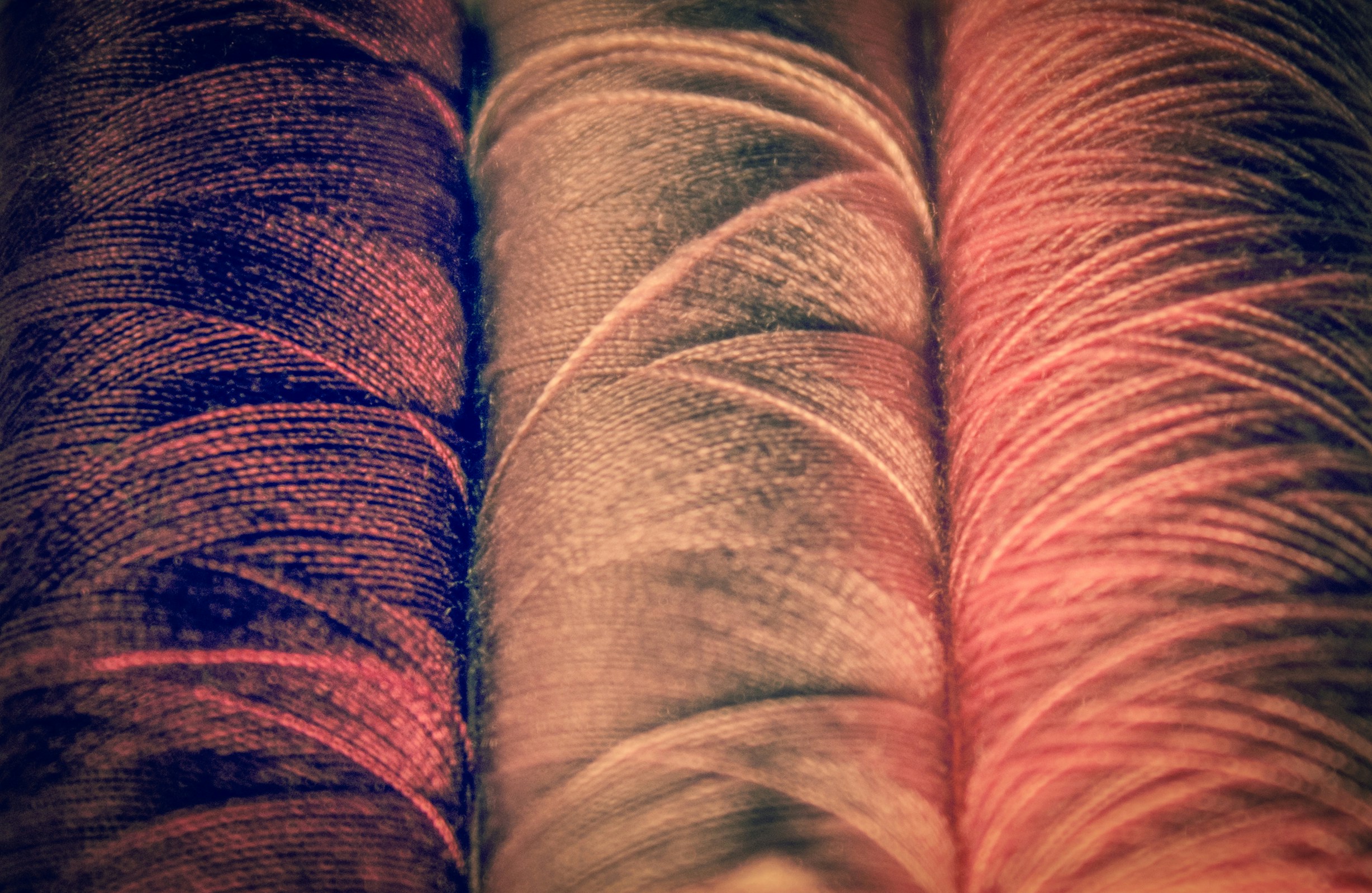 Free Unsplash photo from Elena Ilyinskaya