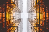 worms eye view of buildings
