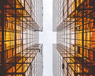 worms eye view of buildings