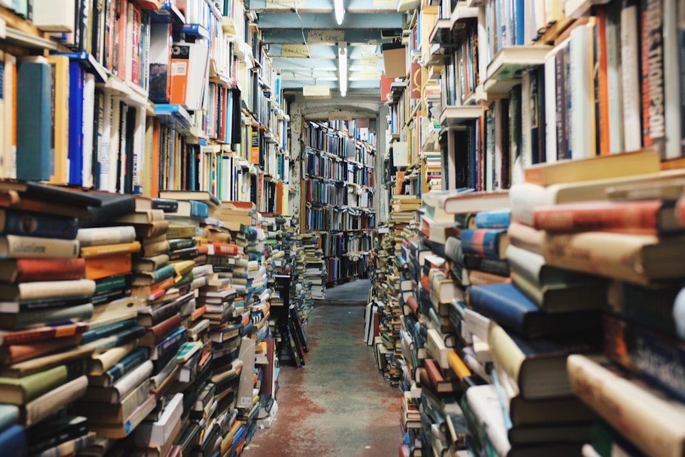 camino en medio de libros apilados