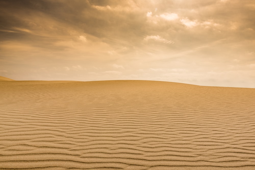 photo of desert field