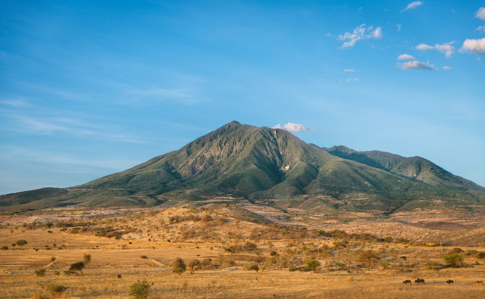 foto di montagna con terreno marrone nelle vicinanze